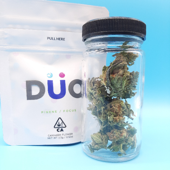 PINENE - 3.5G - 1/8oz in Oakland