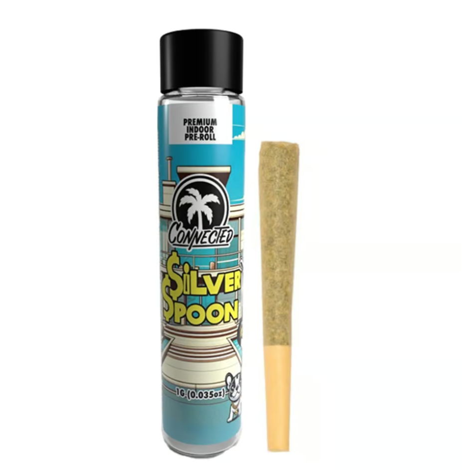 SILVER SPOON - 1G