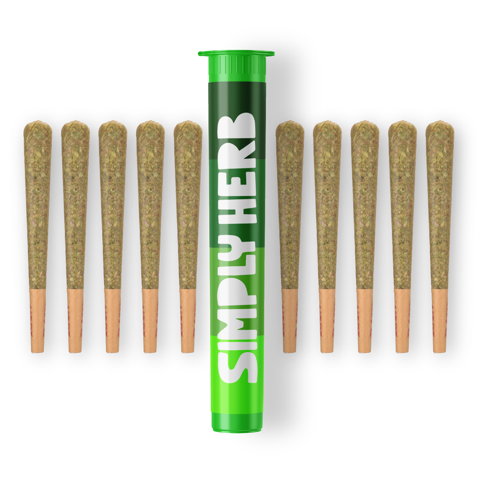 Citrus Sour | 10PK