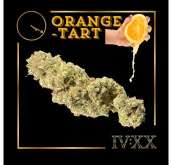 Orange Tart