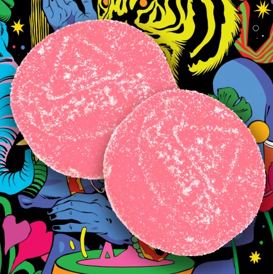 Wild Watermelon