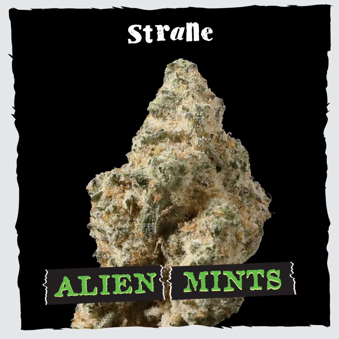 STRANE - Alien Mints