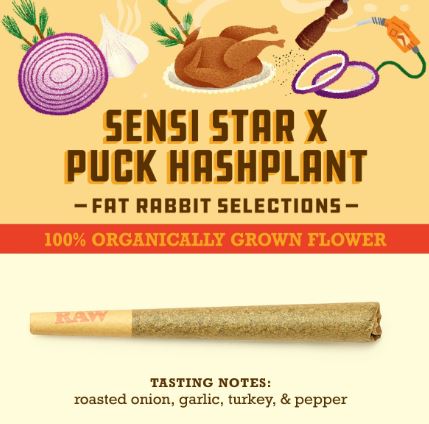 Sensi Star x Puck Hashplant 