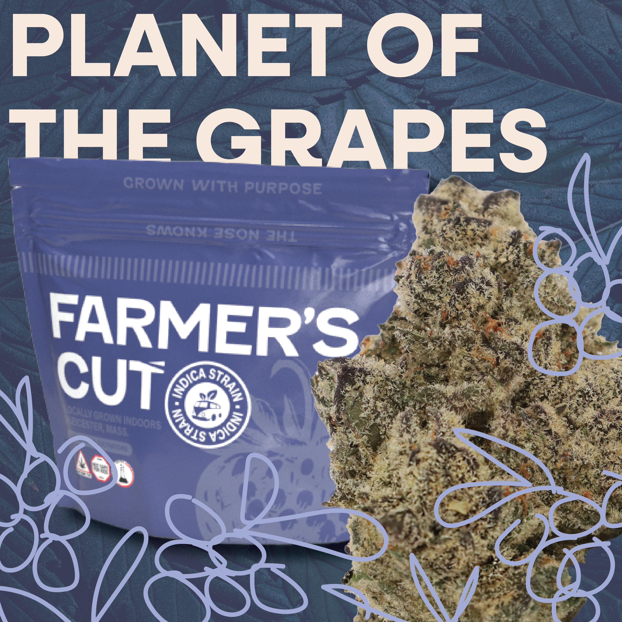 Flower | 14g | Planet of the Grapes