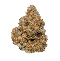 Cloudy Daze