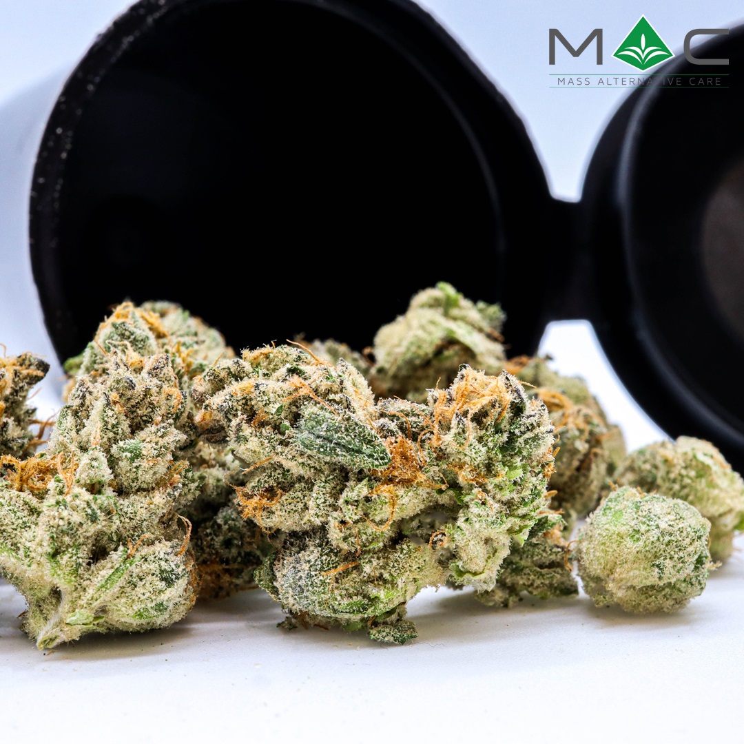 Small Buds | 7g | LA Beatnik