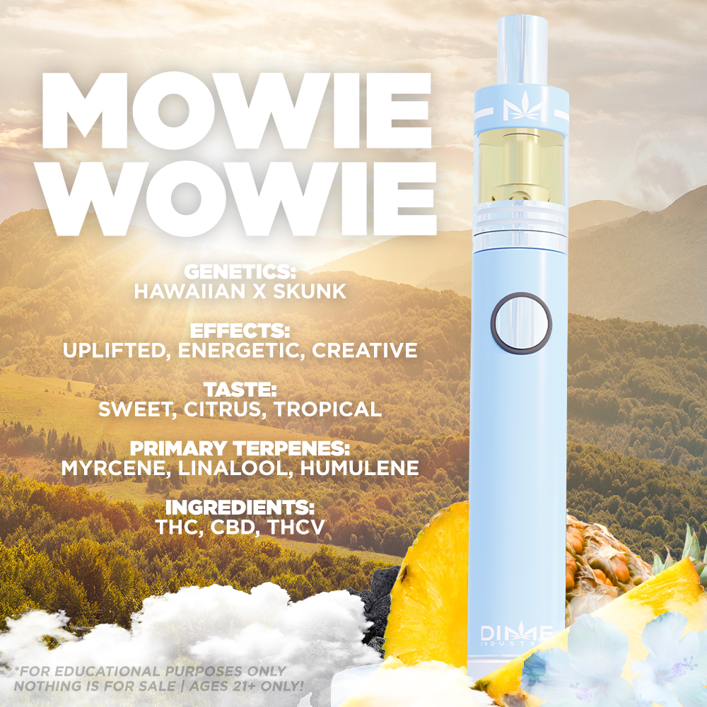 Disposable | Mowie Wowie