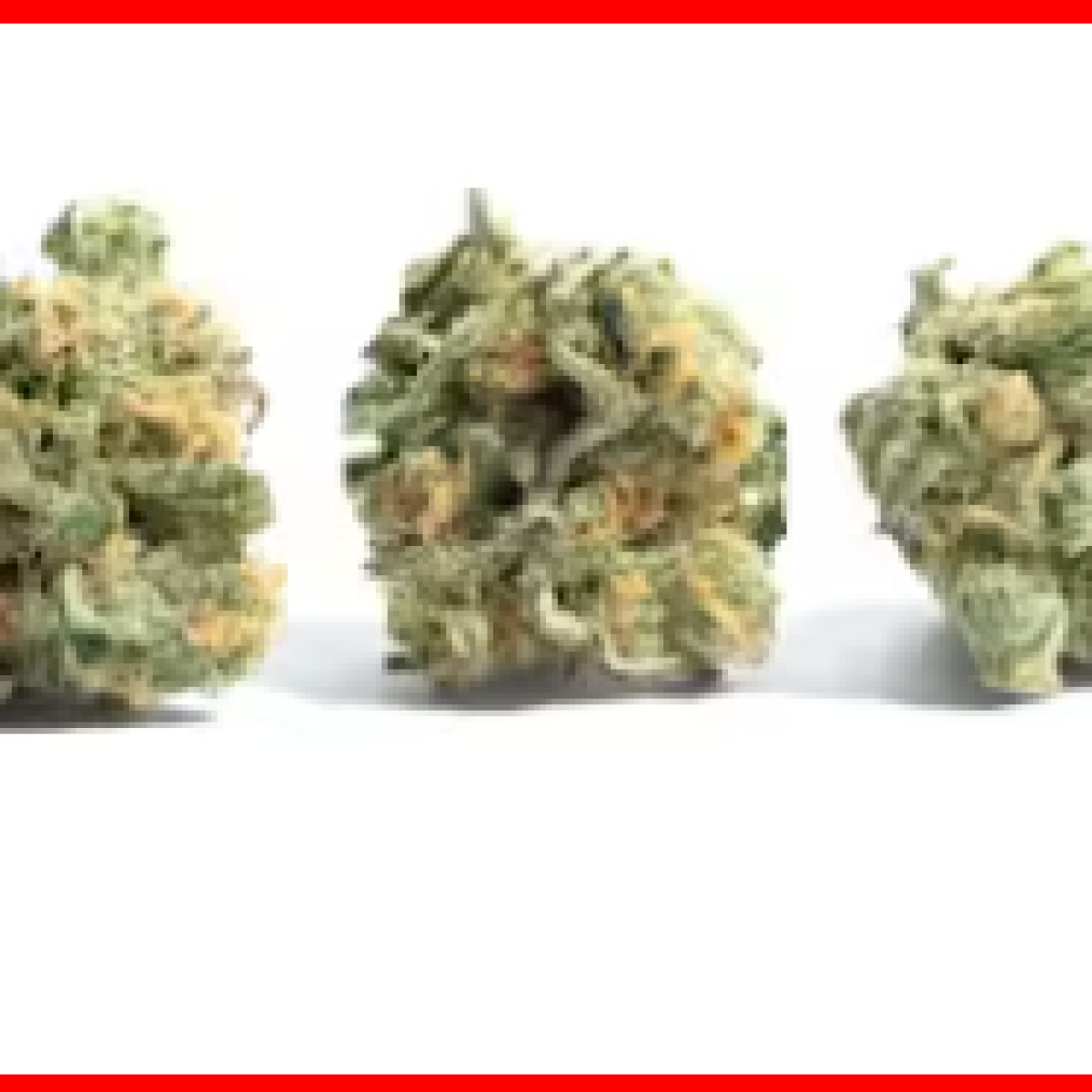 CBD | Lifter 