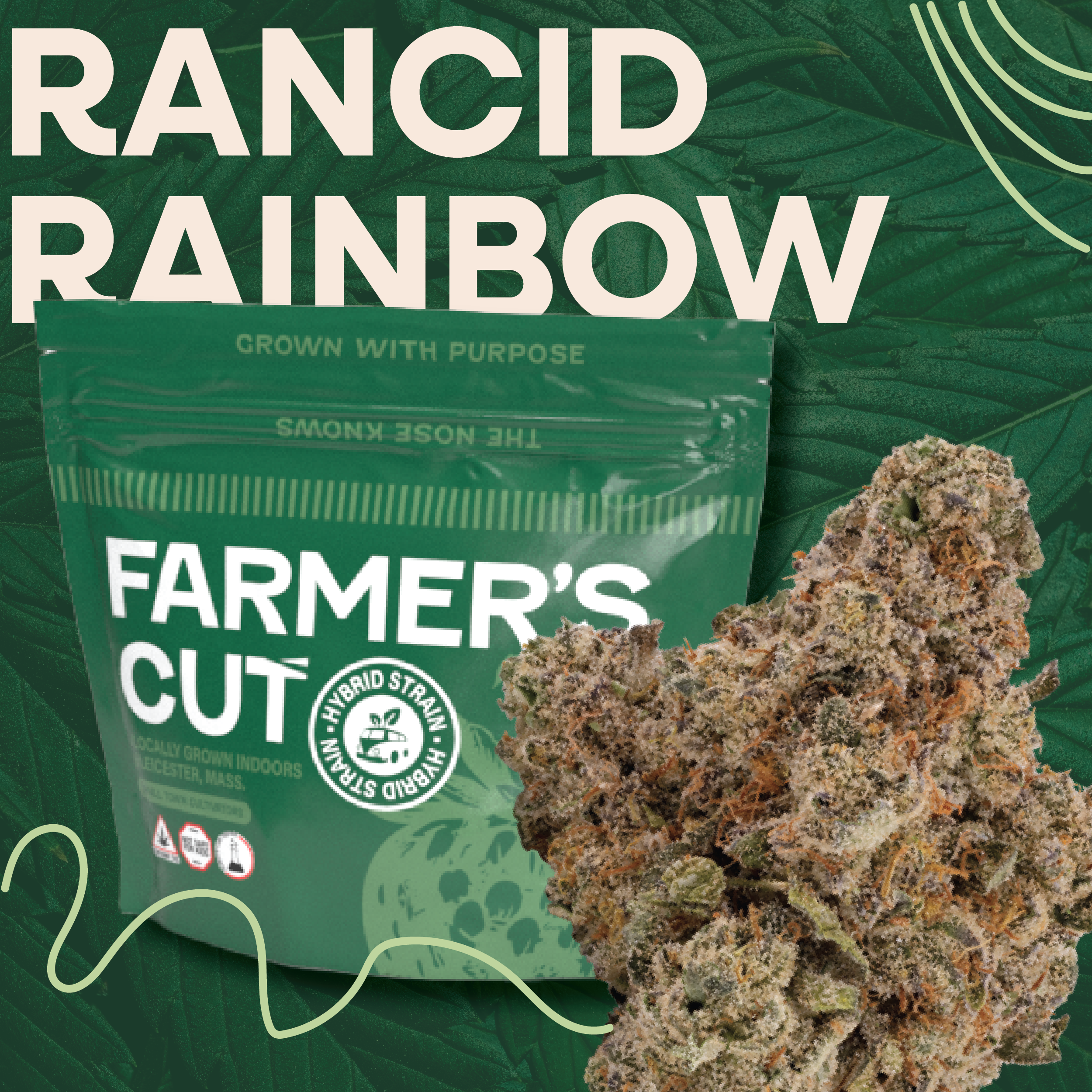 Flower | 14g | Rancid Rainbow