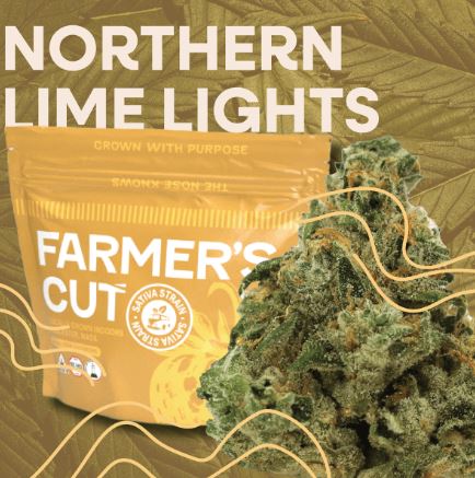 Northern Lime Lights
