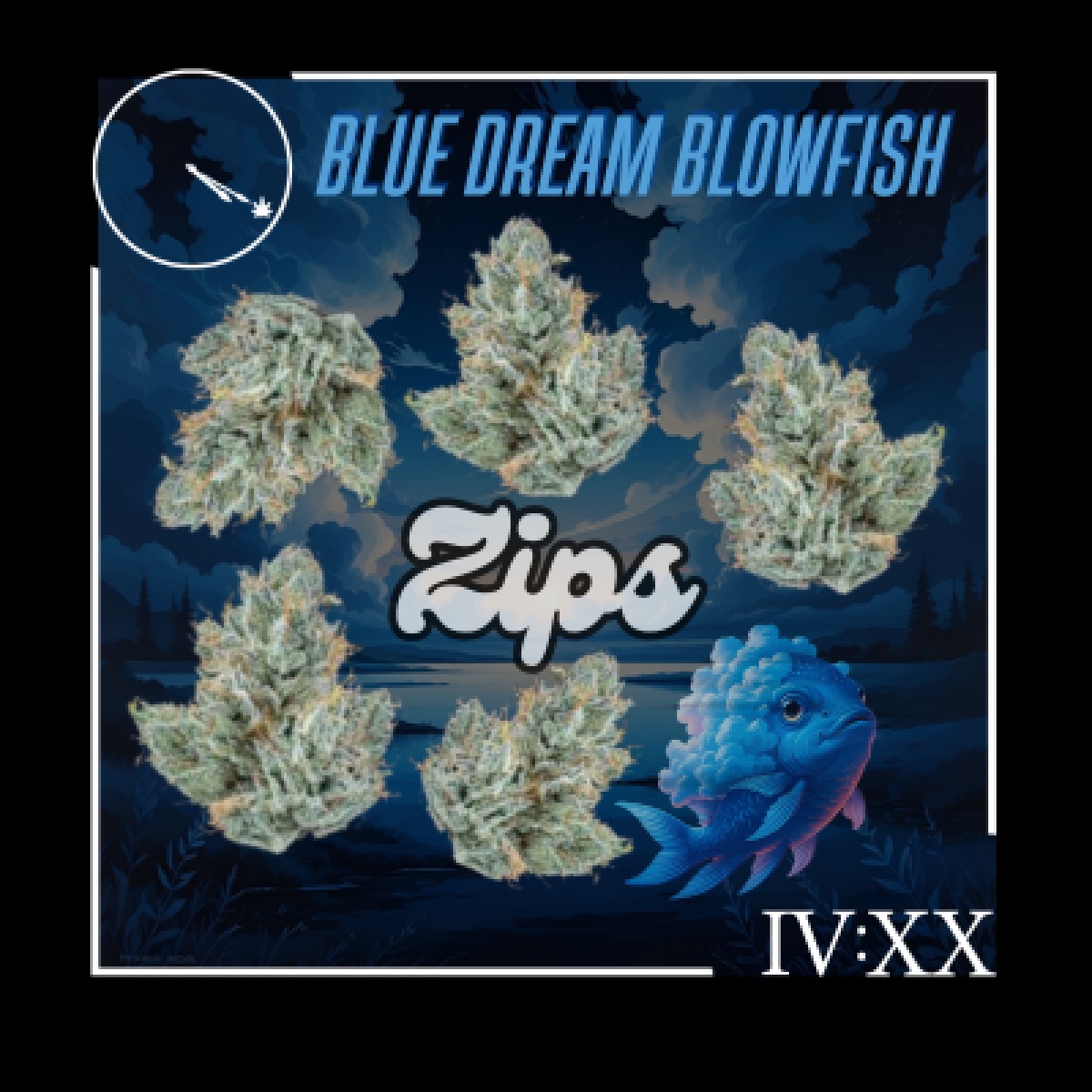 Blue Dream Blowfish