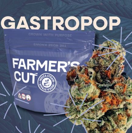 Gastro Pop #4