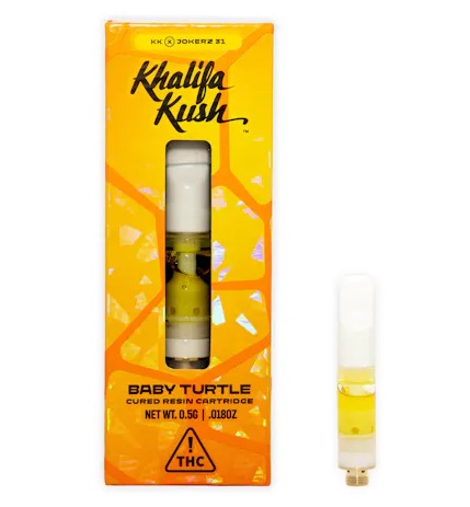 Cured Resin | Baby Turtle