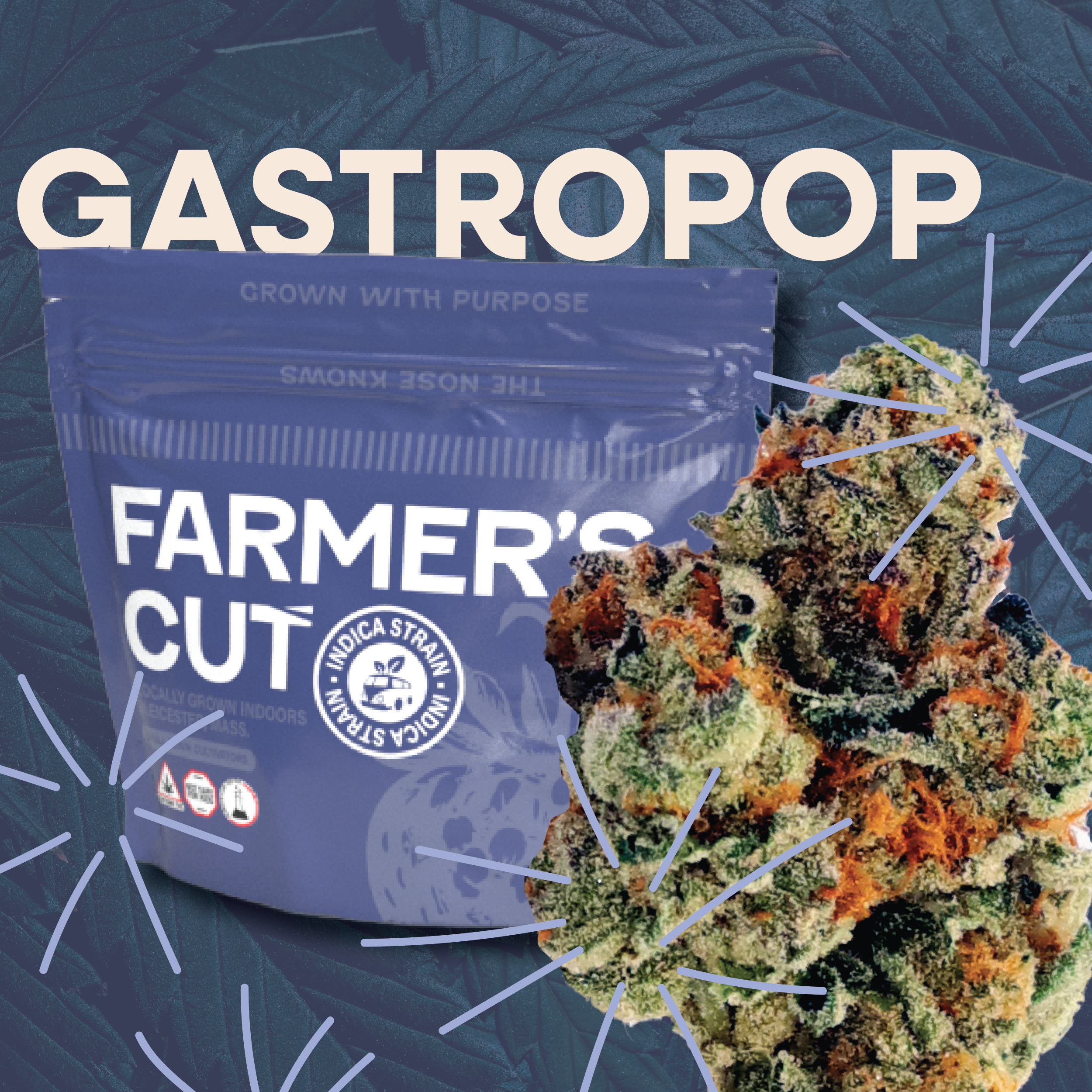 Gastro Pop #4