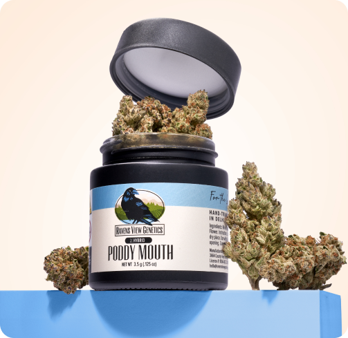 RAVEN'S VIEW GENETICS PODDY MOUTH 3.5G - 3.5 g