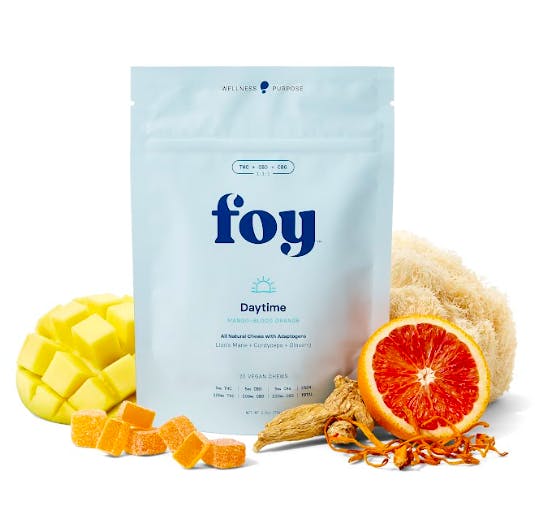 Shop FOY DAYTIME | MANGO WITH ORGANIC ADAPTOGENS by FOY at Le Flora ...