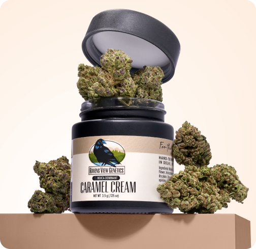 RAVEN'S VIEW GENETICS CARAMEL CREAM 3.5G - 3.5 g
