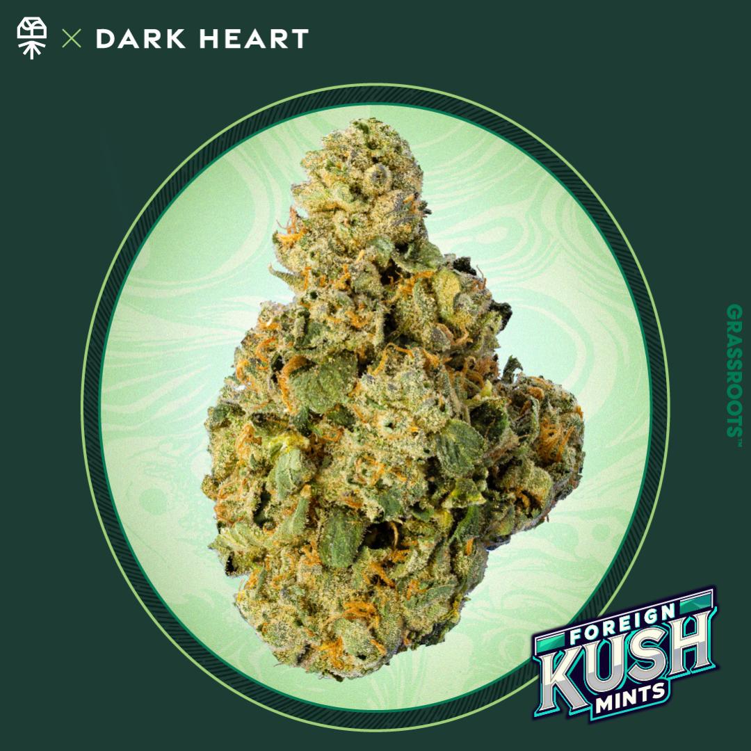 Grassroots χ Dark Hearts - Foreign Kush Mints