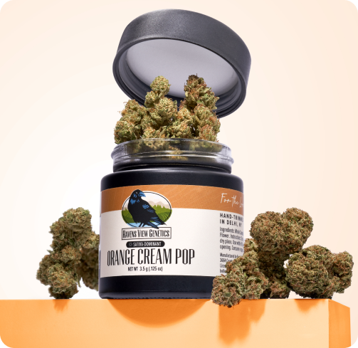 RAVEN'S VIEW GENETICS ORANGE CREAM POP 3.5G - 3.5 g