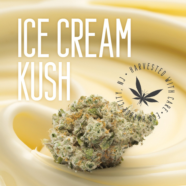 ICE CREAM KUSH  - 3.5g in Plainfield