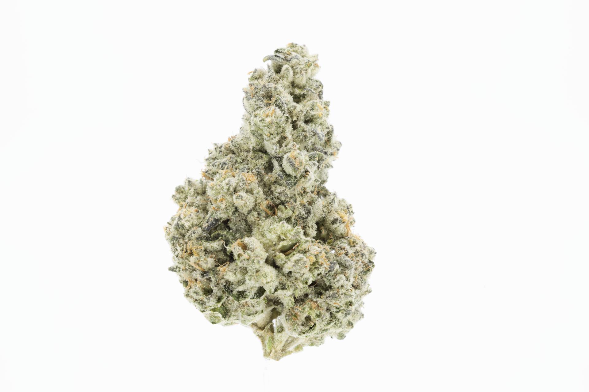 BlueBerry Pancakes 3.5g Premium Flower