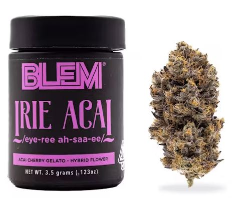 IRIE ACAI (3.5G) [H]