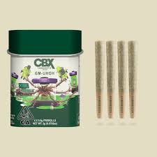 GM-UHOH [H] - 4PK/0.5G PREROLL