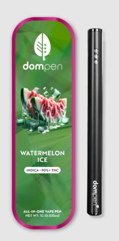 WATERMELON ICE [I] (1G) - READY TO USE