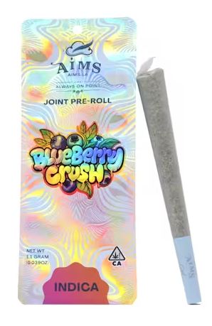 BLUEBERRY CRUSH [I] PREROLL - 1.1 g