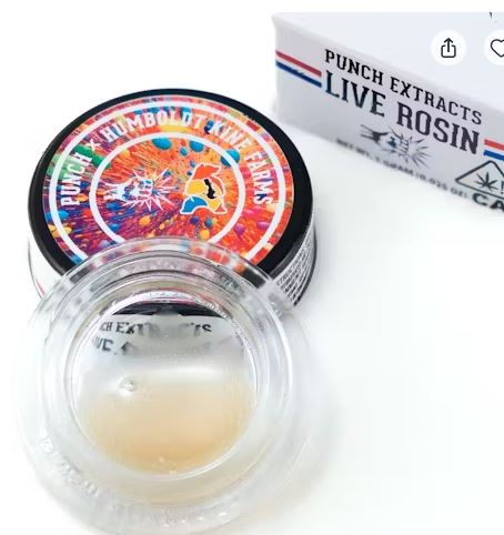 HONEY HORCHATA LIVE ROSIN (1G) TEIR 2