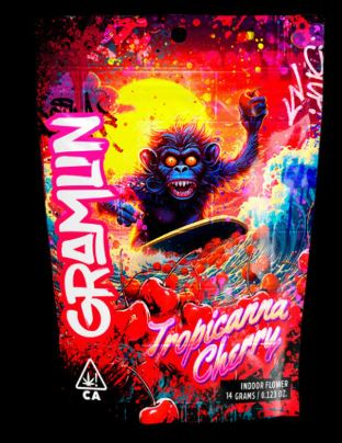 TROPICANNA CHERRY [S] - GRAMLIN - 14G - FLOWER