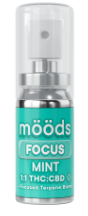 MINT [H] FOCUS 1:1 (CBD:THC) - 500MG SPRAY