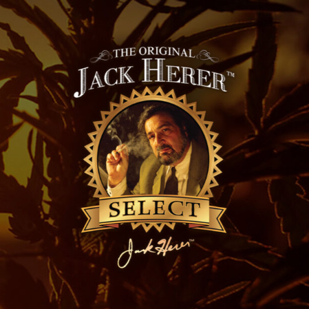 JH MASTER [I] - 3.5G FLOWER