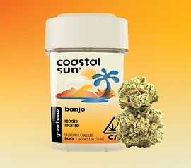 BANJO [H] - 3.5G PRE-PACK - COASTAL SUN