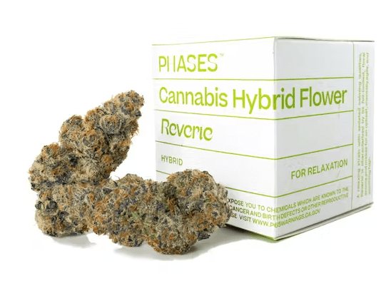 REVERIE - GORILLA COOKIES [H] - 3.5G PRE-PACK - PHASES
