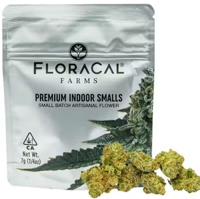 CHERRY KNOCKOUT [I] FLOWER (3.5G)