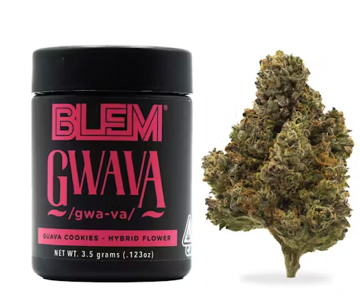 GWAVA [H] - 3.5G FLOWER