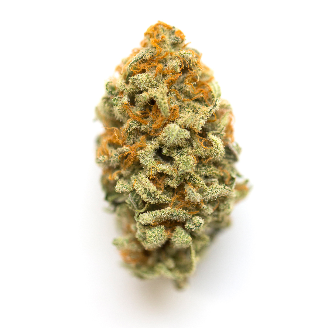 PUSH POP - FLOWER (14G) [H] - GEMZ