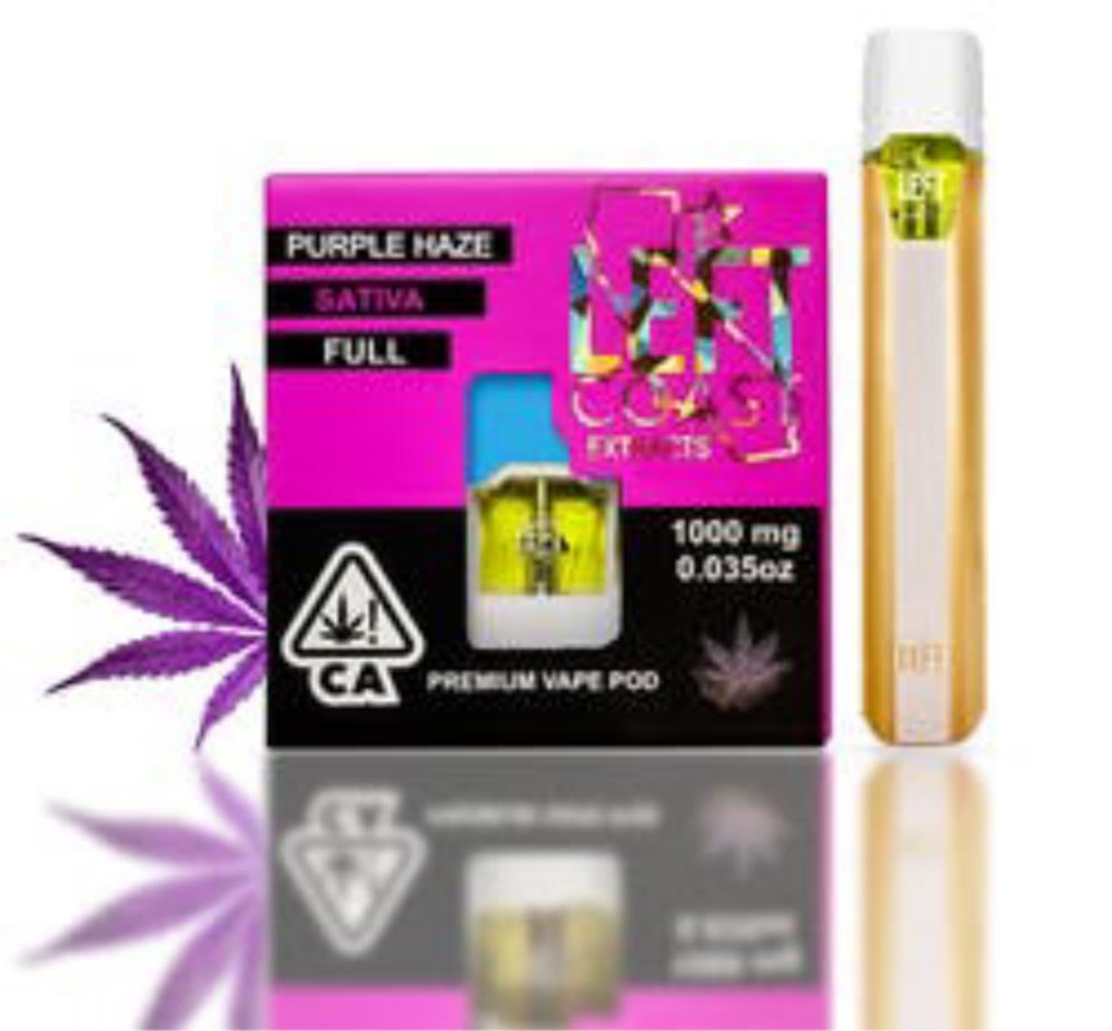 PURPLE HAZE (1G) [S] POD