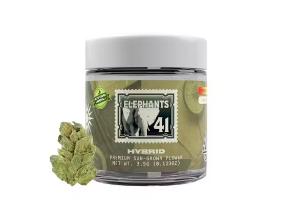 ELEPHANTS 41(3.5G) [H]