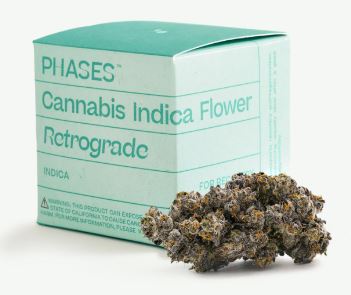 CHERRY RUNTZ: RETROGRADE (3.5G) [S]