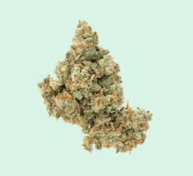 JACK HERER [H] SELECT - 3.5G FLOWER
