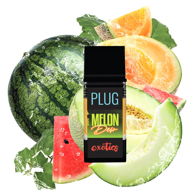 MELON DEW [H] EXOTICS - 1G POD