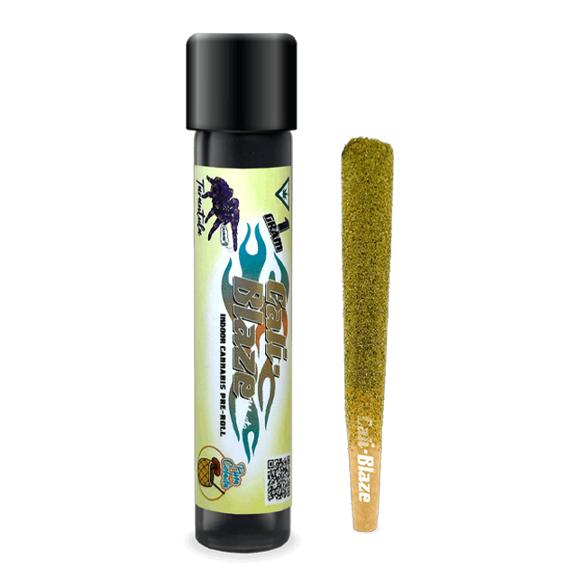 PINA COLADA TARANTULA | 1G
