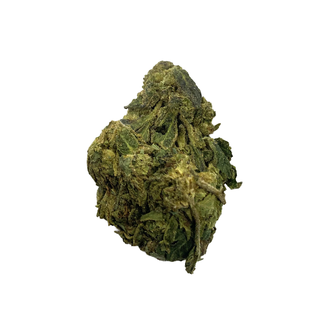 MAPLE DREAM | 28G