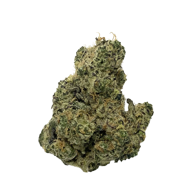 OMNINO CANNABIS | GOVERN MINTZ OASIS | 3.5G
