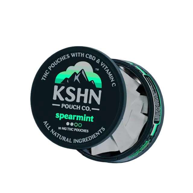 SPEARMINT THC POUCH 20PK | 200MG