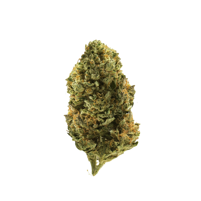 DELUXX | DETROIT RUNTZ | 14G