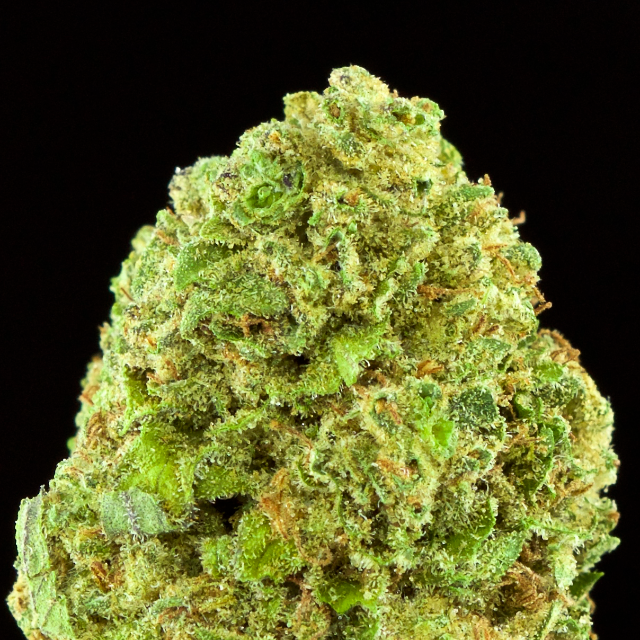 COOKIES & CREAM GRAM