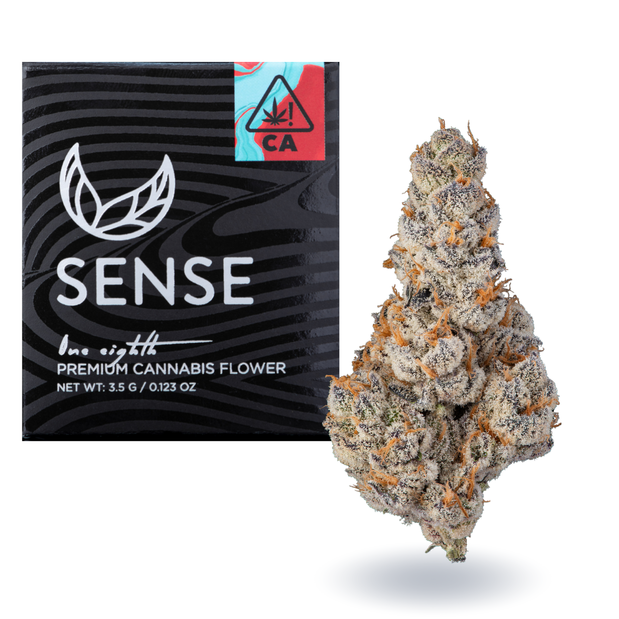 Sense — EL CHIVO #5 - EIGHTH